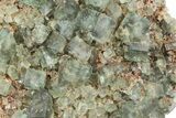 Fluorescent Green Fluorite Cluster - Lady Annabella Mine, England #235374-1